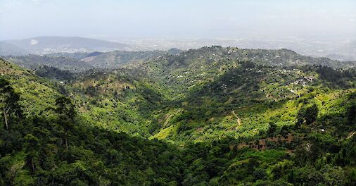 Aerial shot of the green forest in Blue Mountain, Kingston, Jamaica. Unsplash: Yves Alarie