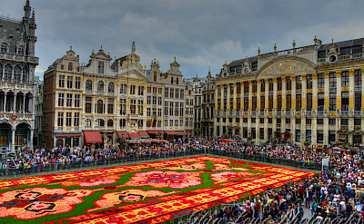 Flower carpet show in Brussels, Belgium. Flickr:wwwglynlowecom