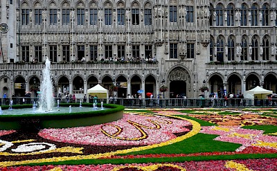 Brussels Flower Carpet event in Brussels, Belgium. Flickr:Eddy Van 3000