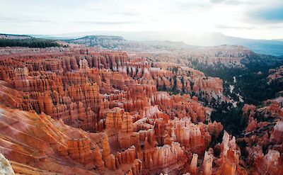 Bryce Canyon landscape, Utah. Unsplash: Tracy Zhang