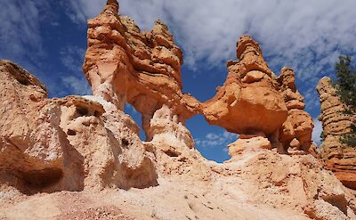 Hoodoos, Bryce Canyon, Utah, USA. Cameron Cress@Unsplash