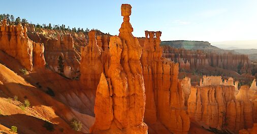 Hoodos in Bryce Canyon, Utah. Unsplash: Stephen Leonardi