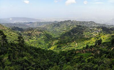 Verdant View over the Blue Mountain, Jamaica. Unsplash: Yves Alarie