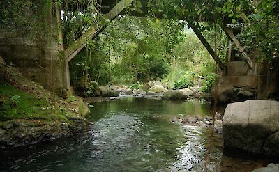Water beneath a bridge in Blue Mountain, Jamaica. Flickr: Midnight Believer