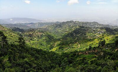 Blue Mountains, Jamaica. Unsplash: Yves Alarie