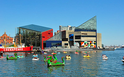 Baltimore's famous National Aquarium and Harbor. Photo via Wikimedia Commons:AndrewHorne