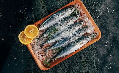 Salted sardines with lemon slices, Lisbon, Portugal. Unsplash: Harris Vo