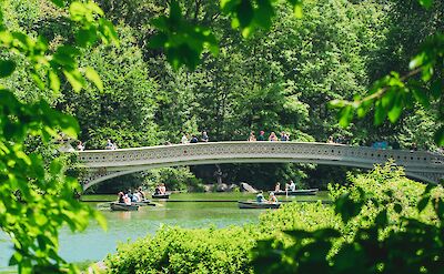 Bridge in Central Park, NYC. Unsplash: Jean Carlo Emer
