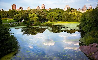 Lake in Central Park, NYC. Unsplash: Hector Arguello