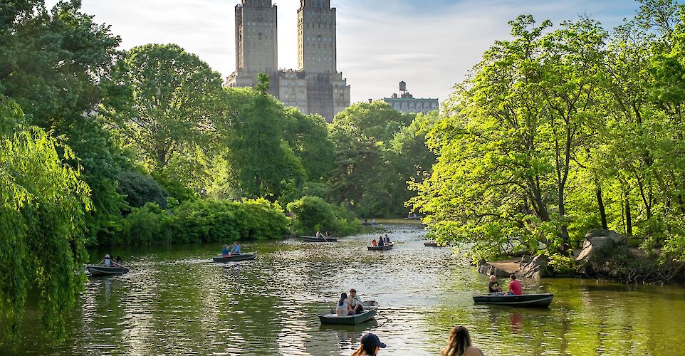 Rowing boats at Central Park north, NYC. Unsplash: Haryy Gillen