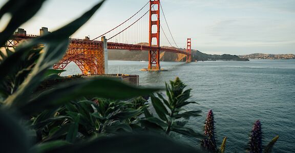 Golden Gate Bridge through the Foliage, San Francisco, USA. Unsplash: Tim Foster