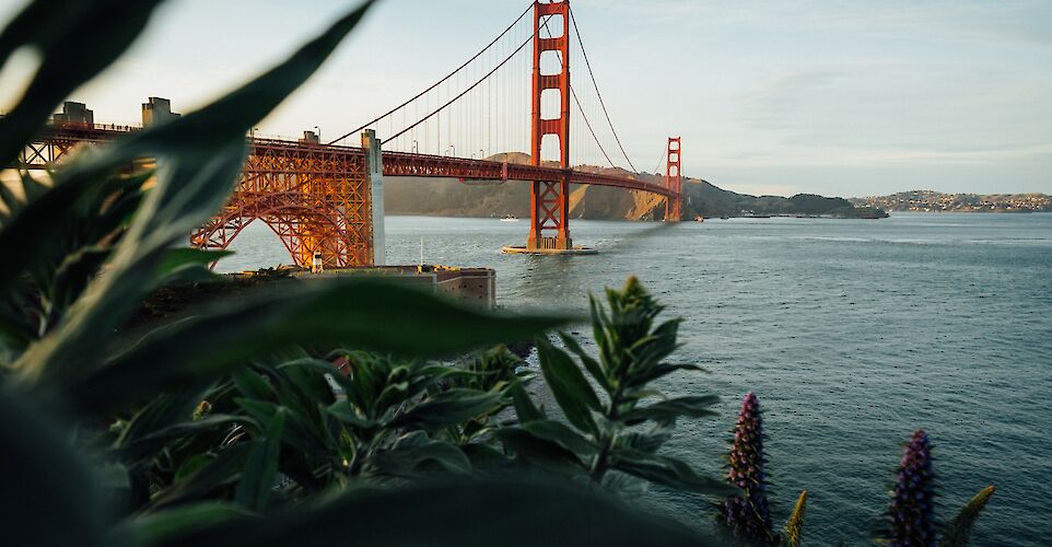 Golden Gate Bridge through the Foliage, San Francisco, USA. Unsplash: Tim Foster