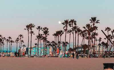 Palm trees of Santa Monica, California, USA. Unsplash: Vincentas Liskauskas