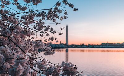 Colorful skies behind the Washington Monument, Washington DC, USA. Unsplash: Andy feliciotti