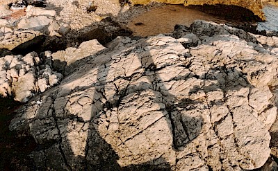 Climbing on rocks in Cres, Croatia. Unsplash@Lino Thaesler