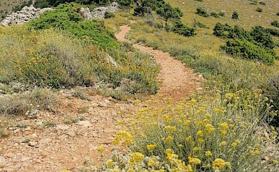 Hills of Cres, Croatia. Unsplash@Emtisquare Studio