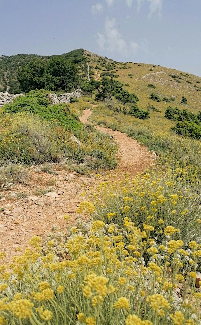 Hills of Cres, Croatia. Unsplash@Emtisquare Studio