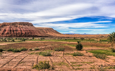 Farmland in Ouarzazate, Morocco. Flickr:Steven dosRemedios