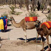 Aventura em Marrocos Foto