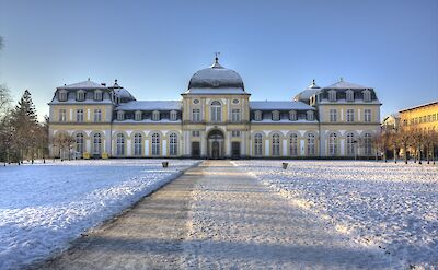 Snow on Poppelsdorfer alle, Bonn. Unsplash: Roman Schmitz