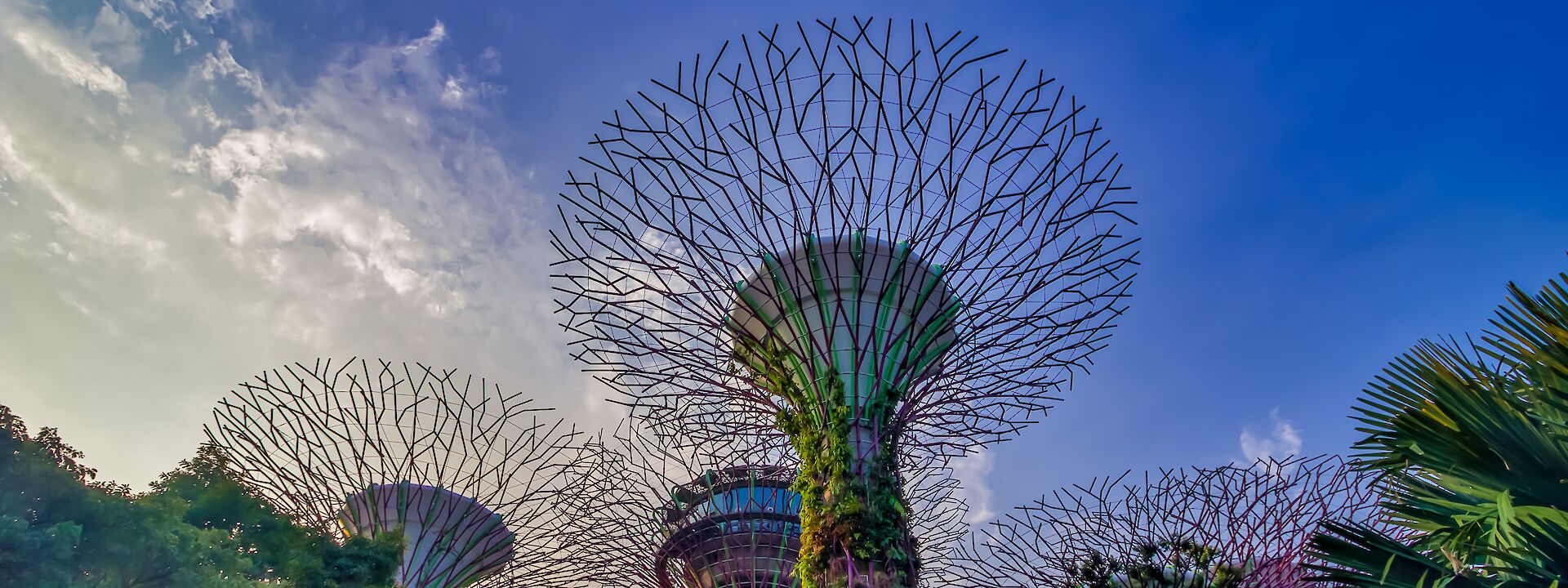 Gardens by the Bay, Singapore. Andreas M@Unsplash