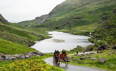 Horse and cart in Killarney, Kerry, Ireland. Unsplash@Andre Ouellet
