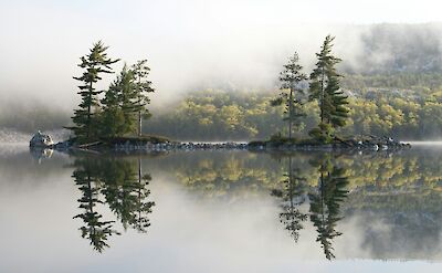 Mist over a lake in Killarney, Kerry, Ireland. Unsplash@Ian Wagg