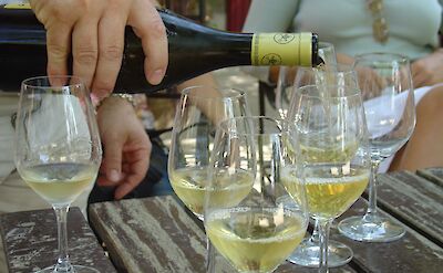 Wine tasting in Avignon, Provence, France.