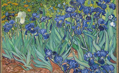 Van Gogh painted <i>Irises</i> in Saint-Rémy-de-Provence, 1889.