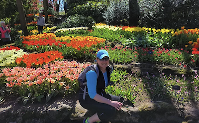 A person crouches beside a vibrant flower garden with colorful tulips in full bloom, surrounded by lush greenery on a sunny day.