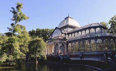 Trees and a pond at Palacio de Cristal, Madrid, Spain. Unsplash: Marsela Sulku