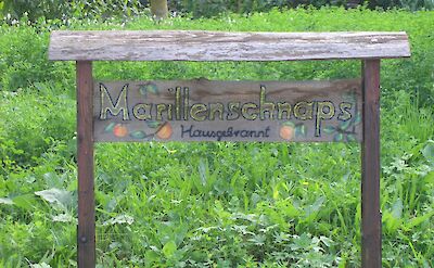 Marillenschnaps is an apricot-fruit brandy produced in the Wachau region of Austria. CC:Mussklprozz