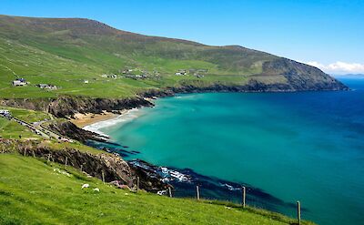 Beach in Dingle, Ireland. Unsplash@Mark Lawson