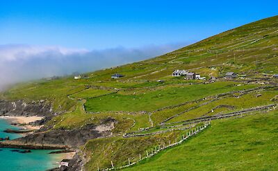 Green hills of Dingle, Ireland. Unsplash@Dahlia E Akhaine