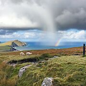 Dramatic Landscapes of the Dingle Peninsula - Mount Brandon, Dingle Peninsula, Ireland. Flickr:Amy Nelson