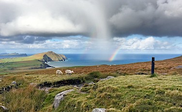 Dramatic Landscapes of the Dingle Peninsula