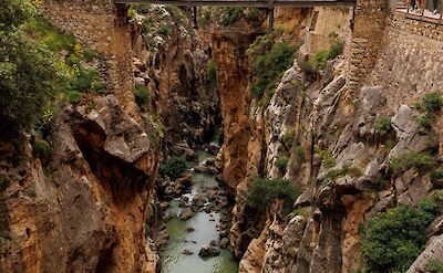 Crossing the suspension bridge on the Caminito del Rey. pexels:igorpasschier