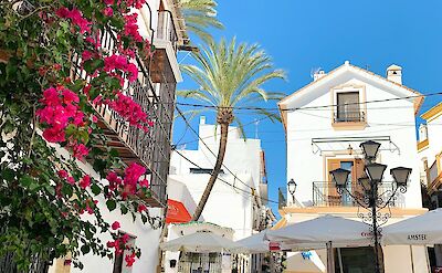 Flower-filled streets in Marbella's Old Town.  unsplash:BryanMancin