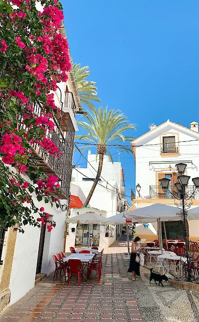 Flower-filled streets in Marbella's Old Town.  unsplash:BryanMancin
