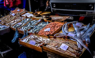 Fish market, Catania, Italy. Unsplash: Francesco Ungaro