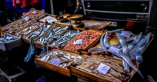 Fish market, Catania, Italy. Unsplash: Francesco Ungaro