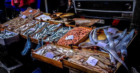 Fish market, Catania, Italy. Unsplash: Francesco Ungaro
