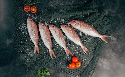 Seasoned fresh fish. Unsplash: Harrisvo
