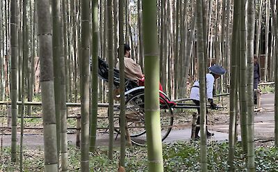 Pulled carriages at the Bamboo Forest. ©Gea
