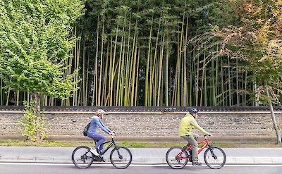 Shimanami Kaido Cycling Route & Shikoku Island in Japan