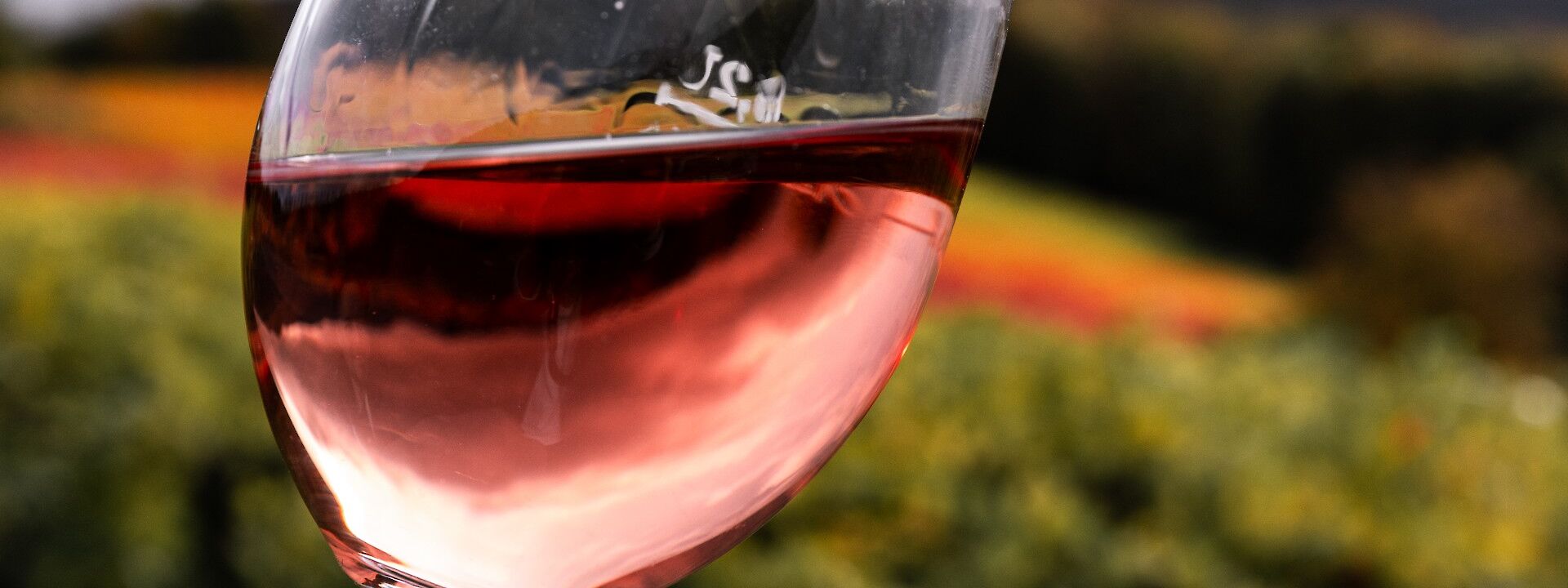 Glass of red wine. Unsplash: Tobias Rademacher