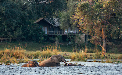 Anabezi Lodge Lower Zambezi ©Anabezi