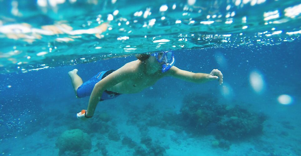 Snorkeling. Unsplash: Nick Sarvari