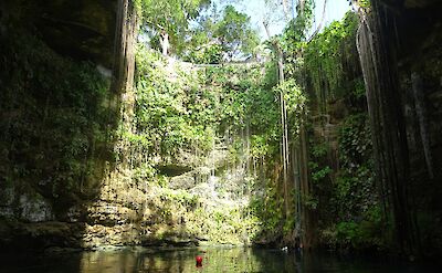 Cenote, Quintana Roo, Mexico. Unsplash: Laura La Brie