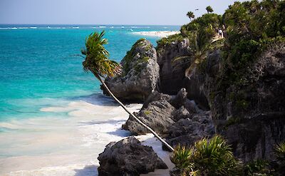 Beach at Tulum, Quintana Roo, Mexico. Unsplash: Tanja Cotoaga